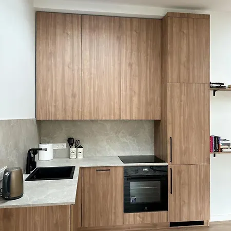 דירה New 59 Sqm Luxury With Free Parking וילנה