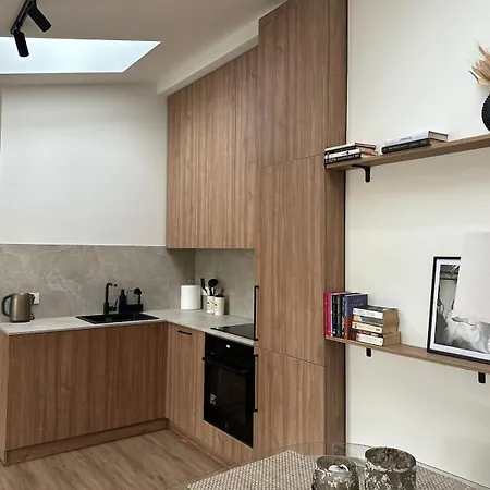 דירה New 59 Sqm Luxury With Free Parking וילנה
