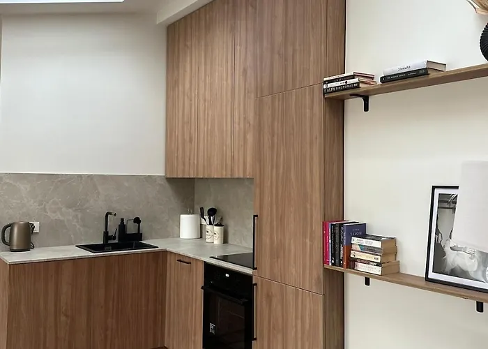 公寓 New 59 Sqm Luxury With Free Parking 维尔纽斯